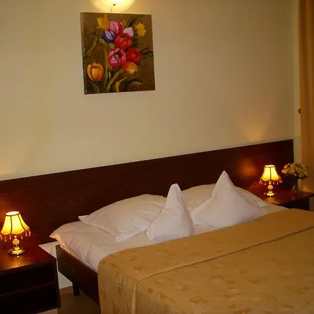 Hotel Decebal Brasov